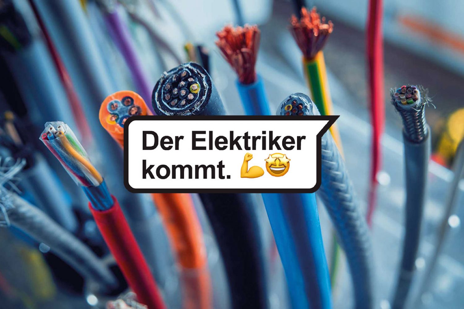 Kitz Blitz — Der Elektriker kommt.